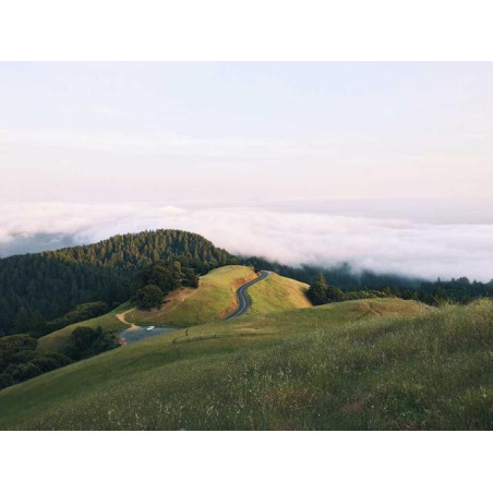 Rustic Leather Car fr-FR